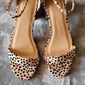 City Classified Women's Block Open Toe AnkleStrap Heeled Sandals Cheetah 7.5